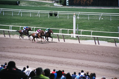 03.07 BELMONT PARK ERKEN BAHiS ORANLARI