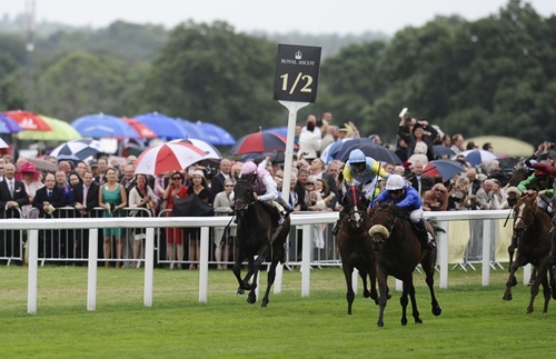 08.08 ASCOT (AGF)_TABLOSU_