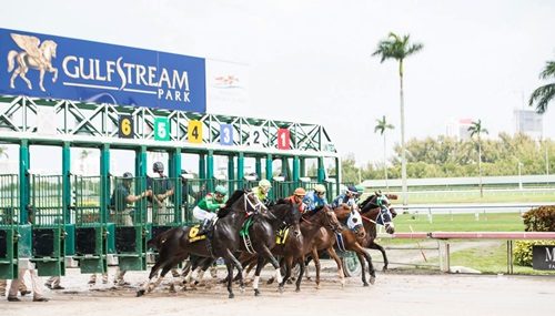 17.09 GULFSTREAM PARK ERKEN BAHiS ORANLARI