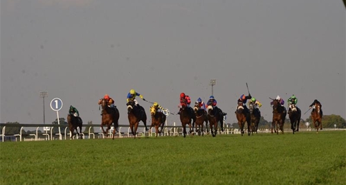 10.08 TURFFONTEIN (AGF)_TABLOSU_