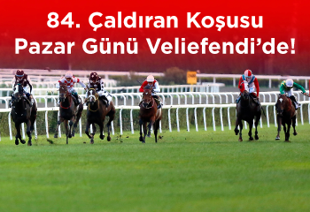 84. Çaldýran Koþusu Pazar günü Veliefendi'de!