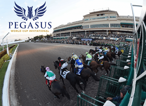 G1 Pegasus World Cup TJK TV ve TAY TV’de!