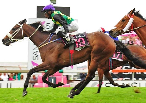 23.01 TURFFONTEiN ERKEN BAHiS ORANLARI
