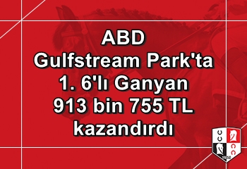 Gulfstream Parkta 1. 6l Ganyan 1 kii bildi