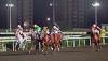 _ADA6337.JPG