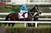 Lambourn.JPG