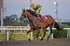 Duke Of Kent.JPG