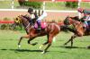 aa1.JPG
