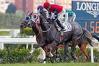 _ARD4847.JPG