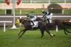 CK2_DSC6110.jpg