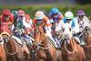 ana.jpg