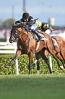 1KDR_9340.jpg
