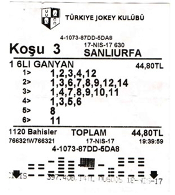 latina nude tek kadınlar ekvator ginesi