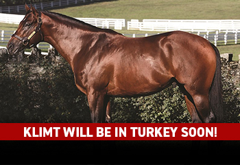 KLIMT Will Be in Turkey Soon!