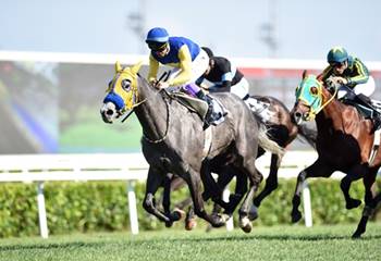 Secret Power Becomes the Champion Thoroughbred of 2022
