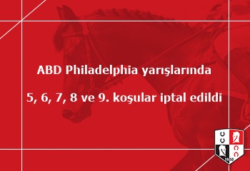 ulusal göçmenlik servisi randevuları çiş şarkısı
