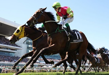 164. Melbourne Cup’ta zafer Knight’s Choice’un oldu