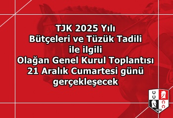 2025 yılı Bütçeleri ve Tüzük Tadili ile ilgili Olağan Genel Kurul Toplantısı 21 Aralık'ta gerçekleşecek