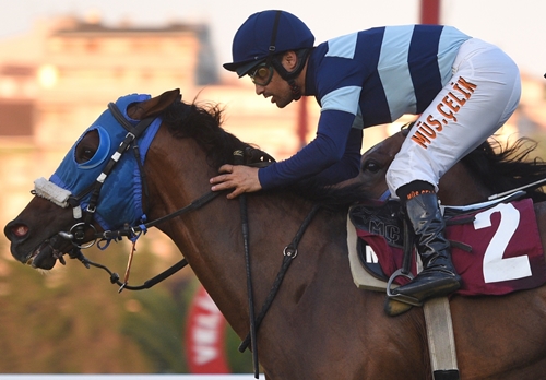 Trans porno tv onlayn