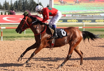 Adana’da Sonbahar - Kış Sezonu başladı