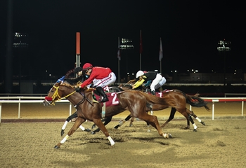 Sahil Güvenlik Komutanlığı (Antalya) Koşusu’nda El Rio ve Fit As A Fiddle birinciliği paylaştı