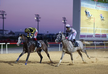 Antalya’da Sonbahar - Kış Sezonu başladı