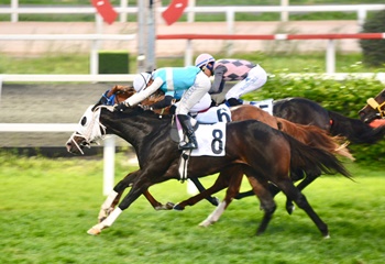 Atıf Esenbel Koşusu'nu Tulumar kazandı