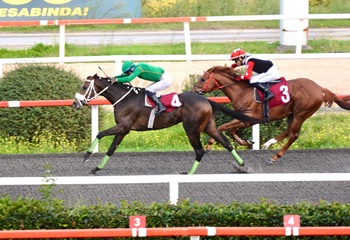 Eşref Somtürk Koşusu'nda kazanan Pythagorean Theory oldu