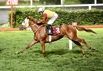 Fikret Çınaryılmaz Koşusu'nda kazanan Super Tomo oldu