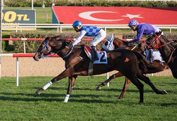 Hitit Koşusu'nu Diluvio kazandı