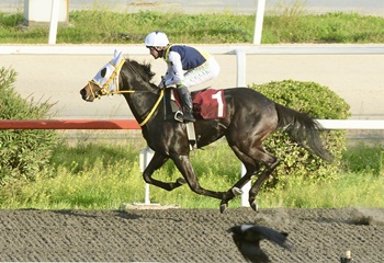Bülent Koçak Koşusu'nu Star Runner kazandı