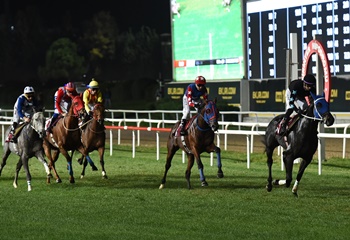 KİTVAK Koşusu'nu Fit As A Fiddle kazandı