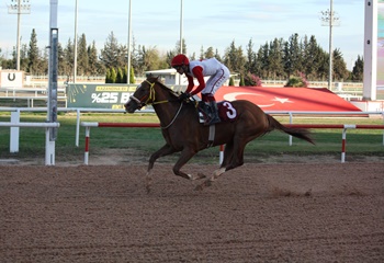 Kozan Belediyesi Koşusu’nda galibiyete ulaşan Nightflyers oldu