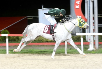 Sapanca Belediye Başkanlığı Koşusu’nu Appreciate Proteo kazandı