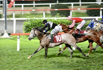 Murat Yazıcı Koşusu'nda kazanan Ersanşah oldu