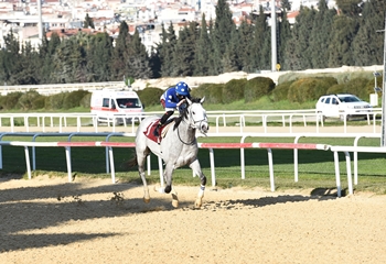 Sedat Evliyazade Koşusu'nu Black Galaxy kazandı