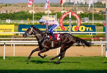 Ankara Jandarma Koşusu’nu Battle For Glory kazandı