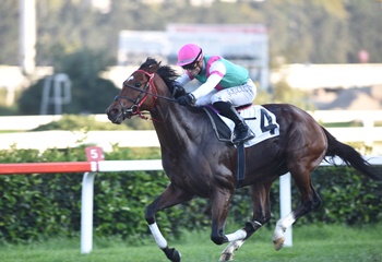 Sakarya Koşusu’nda zafere ulaşan Build Your Dreams oldu