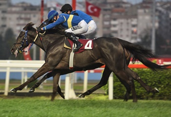 F. Derya Beşikçi Koşusu'nu Dejavu kazandı