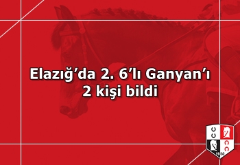 Elazığ’da 2. 6’lı Ganyan’ı 2 kişi bildi