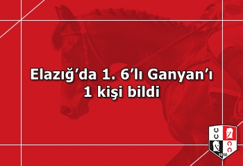Elazığ’da 1. 6’lı Ganyan’ı 1 kişi bildi