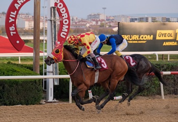 Ankara Kulübü Koşusu'nu Febris kazandı