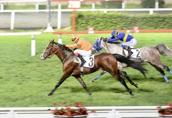 İstanbul Vali Koşusu’nu Fış Fış kazandı