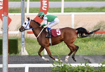 M. Fethi Tulgar Koşusu’nda kazanan Öykülü Kız oldu