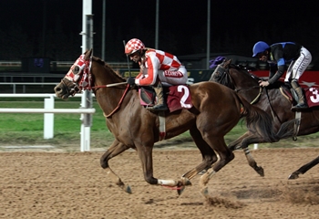 Hasan Aksoy Koşusu’nda kazanan Selanik Aslanı oldu