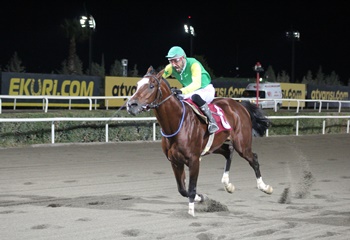 Hilvan Belediye Başkanlığı Koşusu’nu Pekalp kazandı