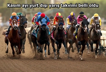 Kasım ayı yurt dışı yarış takvimi belli oldu