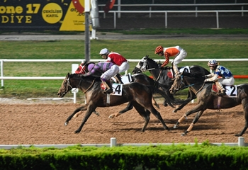 Hasan Basri Karabucak Koşusu'nda kazanan Kayı Beyi oldu