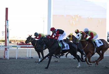 Lara Koşusu'nu Voice Of Khan kazandı