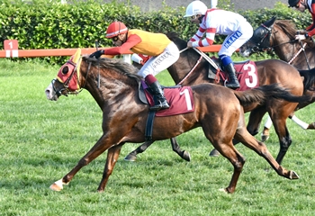 LÖSEV Koşusu’nda kazanan Hüküm oldu